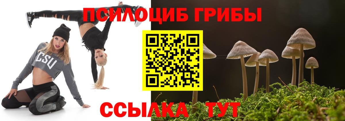 Галлюциногенные грибы GOLDEN TEACHER Южно-Сахалинск